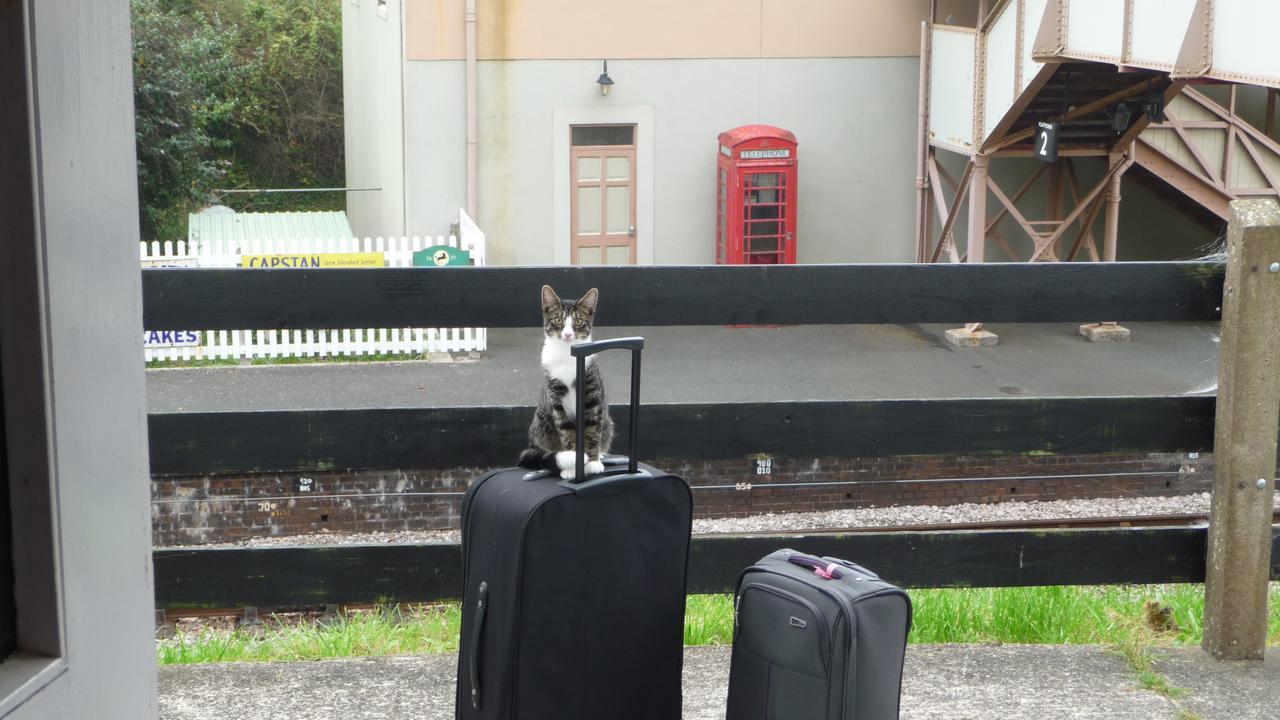 The Station Guest House Galmpton 外观 照片